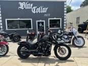 2020 Harley-Davidson Softail Street Bob