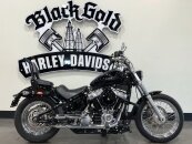 2020 Harley-Davidson Softail Standard