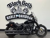 2020 Harley-Davidson Softail Street Bob