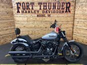 2020 Harley-Davidson Softail Street Bob