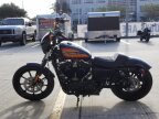 Thumbnail Photo 4 for New 2020 Harley-Davidson Sportster