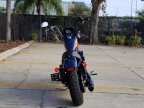 Thumbnail Photo 6 for New 2020 Harley-Davidson Sportster