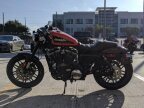 Thumbnail Photo 4 for New 2020 Harley-Davidson Sportster