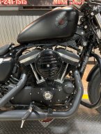 Thumbnail Photo 1 for 2020 Harley-Davidson Sportster Iron 883