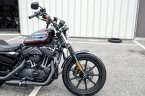 Thumbnail Photo 3 for 2020 Harley-Davidson Sportster