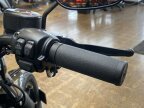 Thumbnail Photo 2 for 2020 Harley-Davidson Sportster