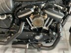Thumbnail Photo 3 for 2020 Harley-Davidson Sportster Iron 883