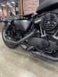 Thumbnail Photo 1 for 2020 Harley-Davidson Sportster Iron 883