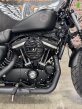 Thumbnail Photo 1 for 2020 Harley-Davidson Sportster Iron 883