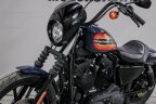 Thumbnail Photo 6 for 2020 Harley-Davidson Sportster Iron 1200