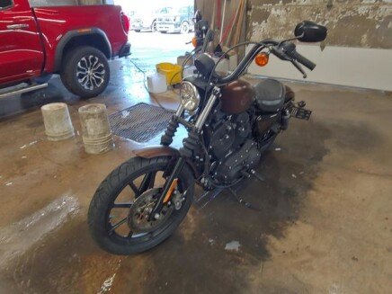 Photo 1 for 2020 Harley-Davidson Sportster Iron 1200