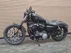 Thumbnail Photo 3 for 2020 Harley-Davidson Sportster Iron 883