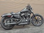 Thumbnail Photo 2 for 2020 Harley-Davidson Sportster Iron 883