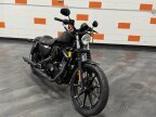 Thumbnail Photo 1 for 2020 Harley-Davidson Sportster