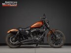 Thumbnail Photo 1 for 2020 Harley-Davidson Sportster Iron 883