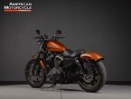 Thumbnail Photo 4 for 2020 Harley-Davidson Sportster Iron 883