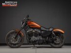 Thumbnail Photo 5 for 2020 Harley-Davidson Sportster Iron 883