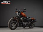 Thumbnail Photo 6 for 2020 Harley-Davidson Sportster Iron 883