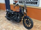 Thumbnail Photo 1 for 2020 Harley-Davidson Sportster Iron 1200