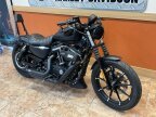 Thumbnail Photo 1 for 2020 Harley-Davidson Sportster Iron 883