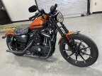 Thumbnail Photo 1 for 2020 Harley-Davidson Sportster Iron 883