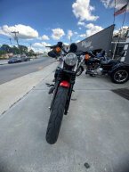 Thumbnail Photo 3 for 2020 Harley-Davidson Sportster Iron 883