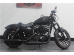 Thumbnail Photo 2 for 2020 Harley-Davidson Sportster Iron 883