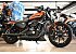 2020 Harley-Davidson Sportster Iron 883