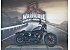 2020 Harley-Davidson Sportster Iron 1200