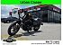 2020 Harley-Davidson Sportster Iron 883