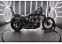 2020 Harley-Davidson Sportster Iron 883
