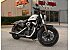 2020 Harley-Davidson Sportster Forty-Eight