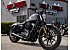 2020 Harley-Davidson Sportster Iron 883
