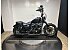2020 Harley-Davidson Sportster Iron 883