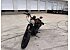 2020 Harley-Davidson Sportster Iron 883