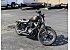 2020 Harley-Davidson Sportster Iron 883