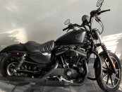2020 Harley-Davidson Sportster Iron 883