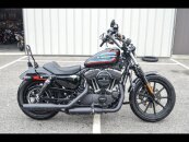 2020 Harley-Davidson Sportster