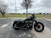 2020 Harley-Davidson Sportster Iron 883