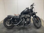 2020 Harley-Davidson Sportster Iron 883
