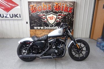 2020 Harley-Davidson Sportster