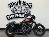 2020 Harley-Davidson Sportster Iron 1200