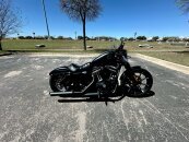 2020 Harley-Davidson Sportster Iron 883