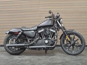 2020 Harley-Davidson Sportster Iron 883