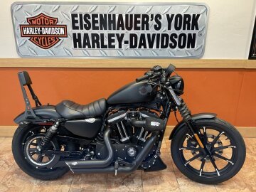 2020 Harley-Davidson Sportster Iron 883