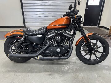 2020 Harley-Davidson Sportster Iron 883