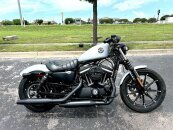 2020 Harley-Davidson Sportster Iron 883