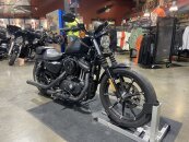 2020 Harley-Davidson Sportster Iron 883