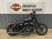 2020 Harley-Davidson Sportster Iron 883