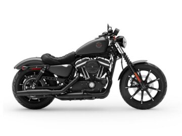 2020 Harley-Davidson Sportster